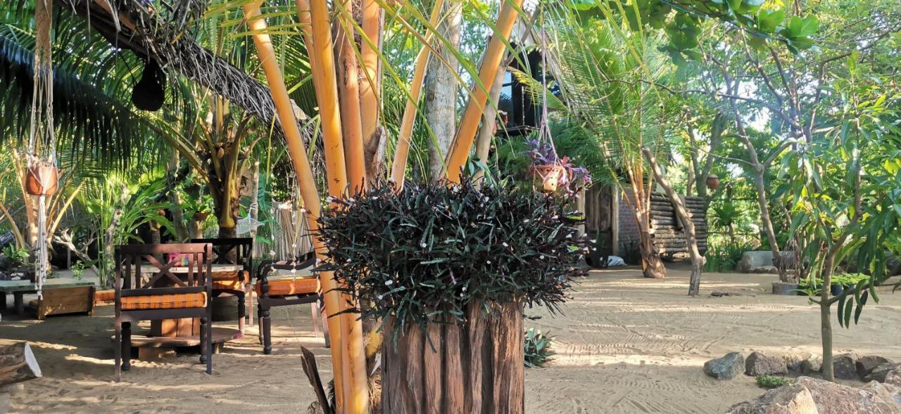 Monsoon Eco Resort - Whisky Point Arugambay 포투빌 외부 사진