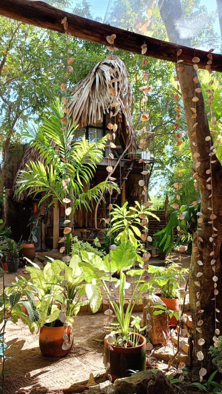 Monsoon Eco Resort - Whisky Point Arugambay 포투빌 외부 사진