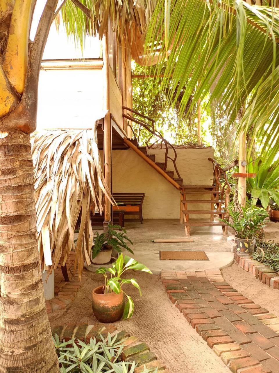 Monsoon Eco Resort - Whisky Point Arugambay 포투빌 외부 사진