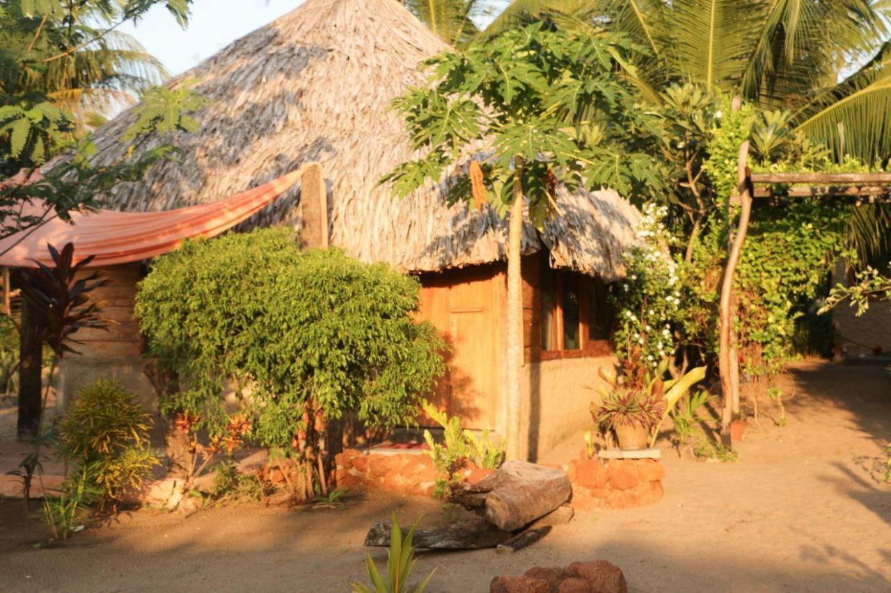 Monsoon Eco Resort - Whisky Point Arugambay 포투빌 외부 사진