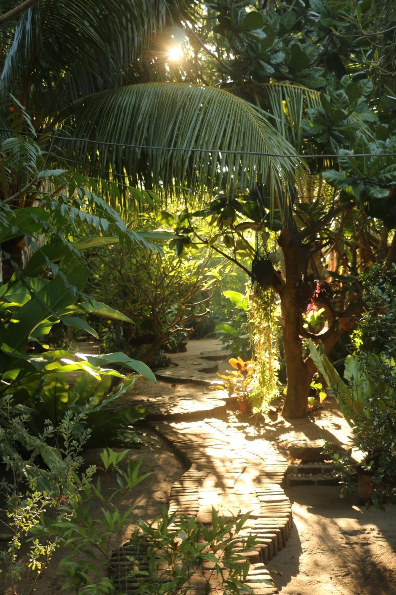 Monsoon Eco Resort - Whisky Point Arugambay 포투빌 외부 사진