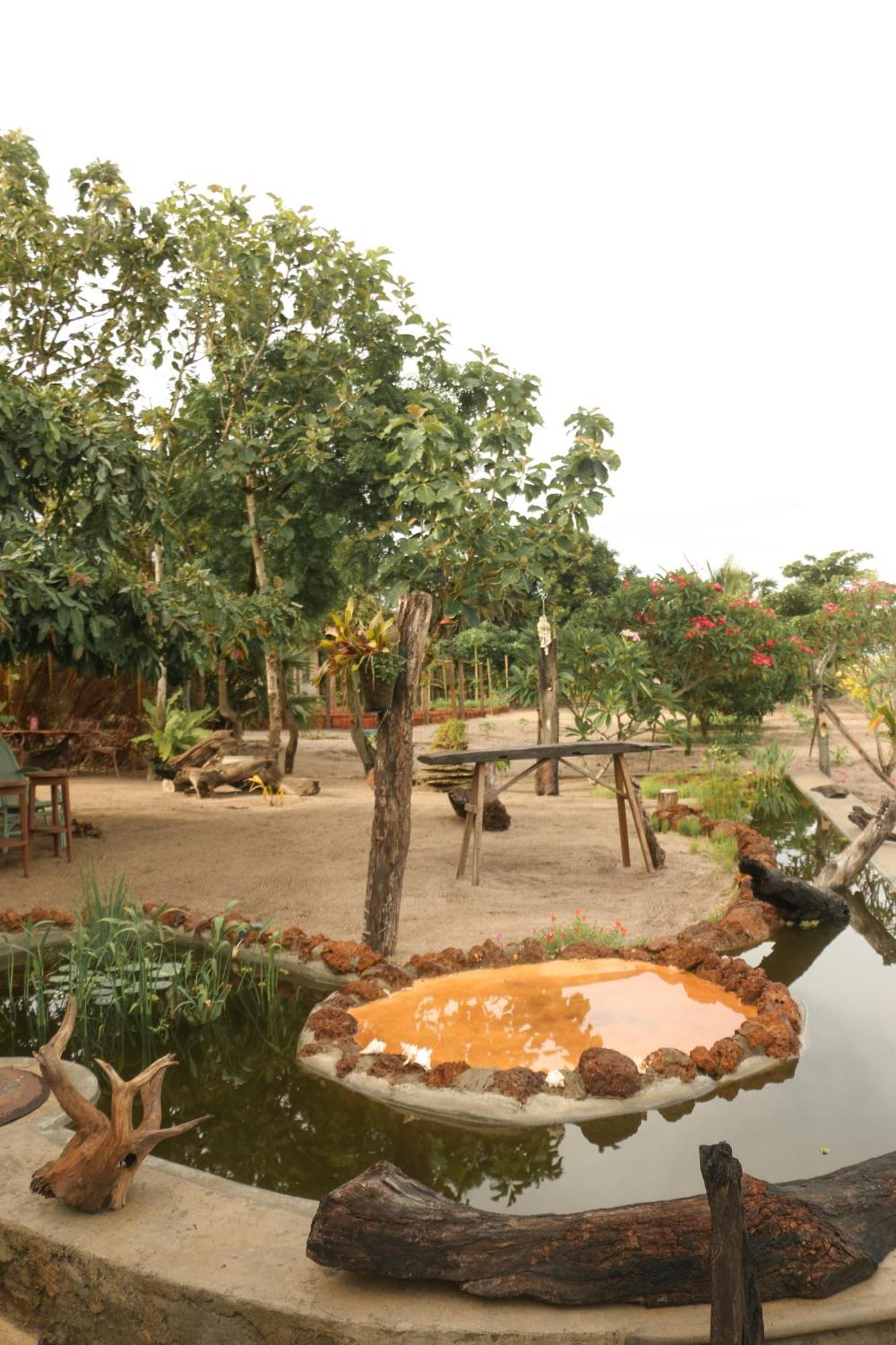 Monsoon Eco Resort - Whisky Point Arugambay 포투빌 외부 사진