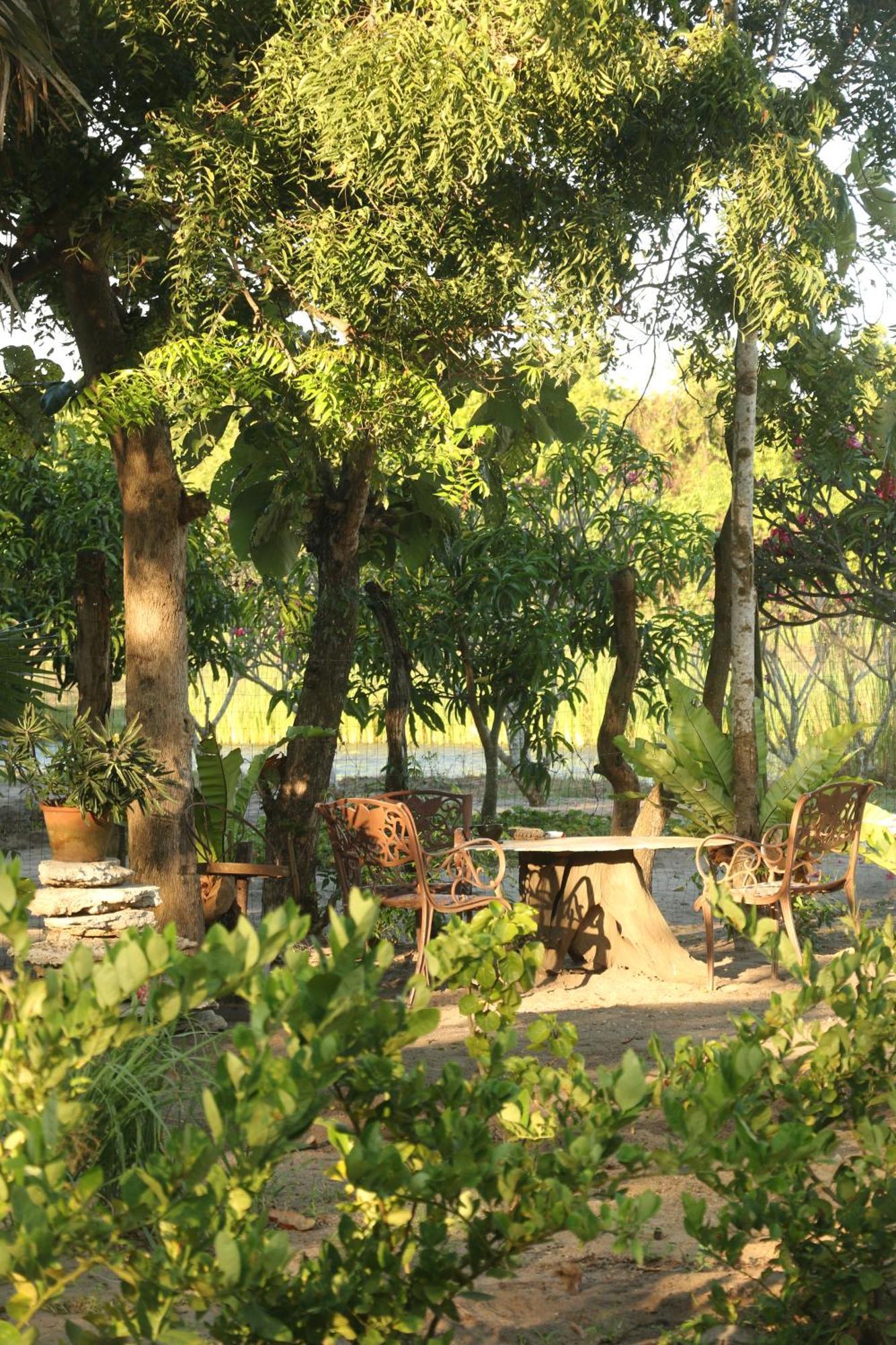 Monsoon Eco Resort - Whisky Point Arugambay 포투빌 외부 사진
