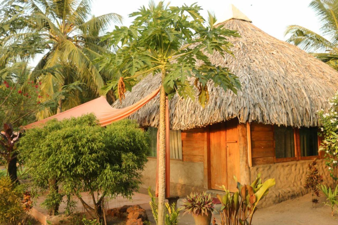 Monsoon Eco Resort - Whisky Point Arugambay 포투빌 객실 사진