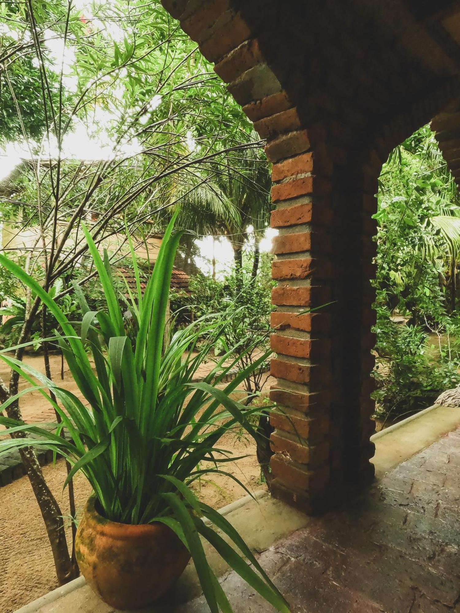 Monsoon Eco Resort - Whisky Point Arugambay 포투빌 객실 사진
